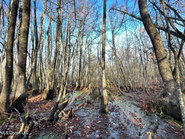 $80,125 | 0 Quofaloma Road, Tchula, MS 39169