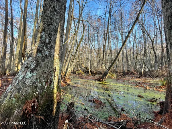 $80,125 | 0 Quofaloma Road, Tchula, MS 39169