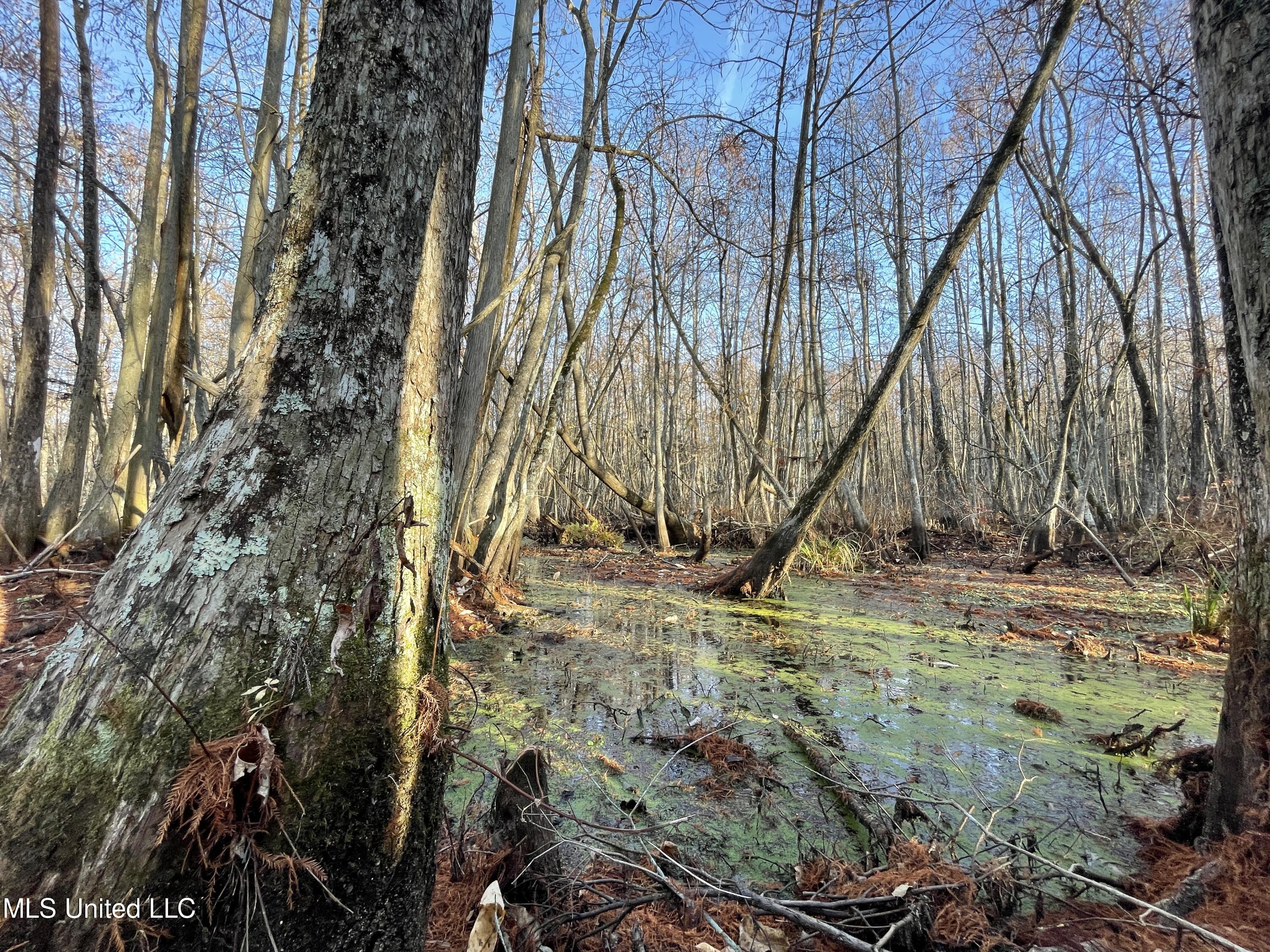 0 Quofaloma Road Tchula, MS 39169 - Photo 7 of 33 5