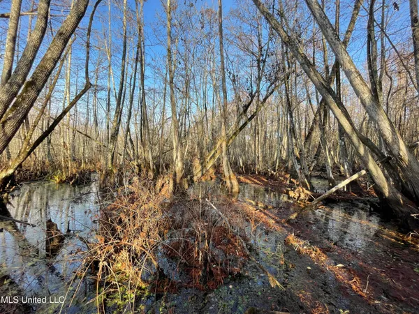 $80,125 | 0 Quofaloma Road, Tchula, MS 39169