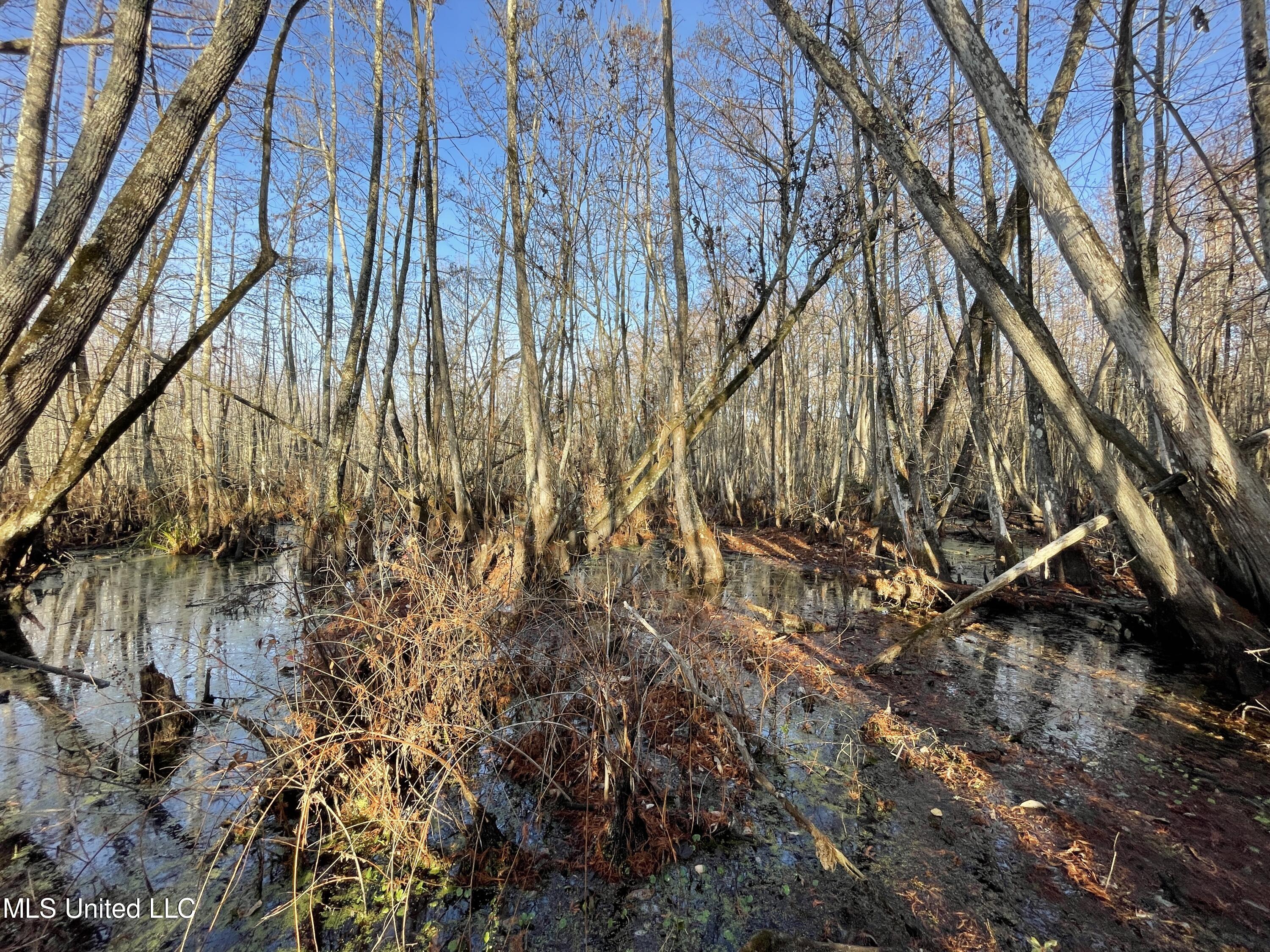 0 Quofaloma Road Tchula, MS 39169 - Photo 8 of 33 9