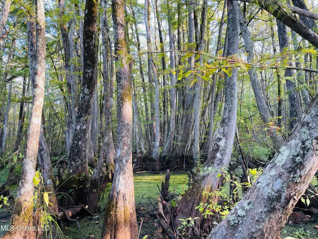 $94,500 | 0 Quofaloma Road, Tchula, MS 39169