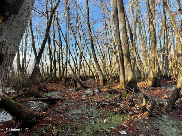 $80,125 | 0 Quofaloma Road, Tchula, MS 39169