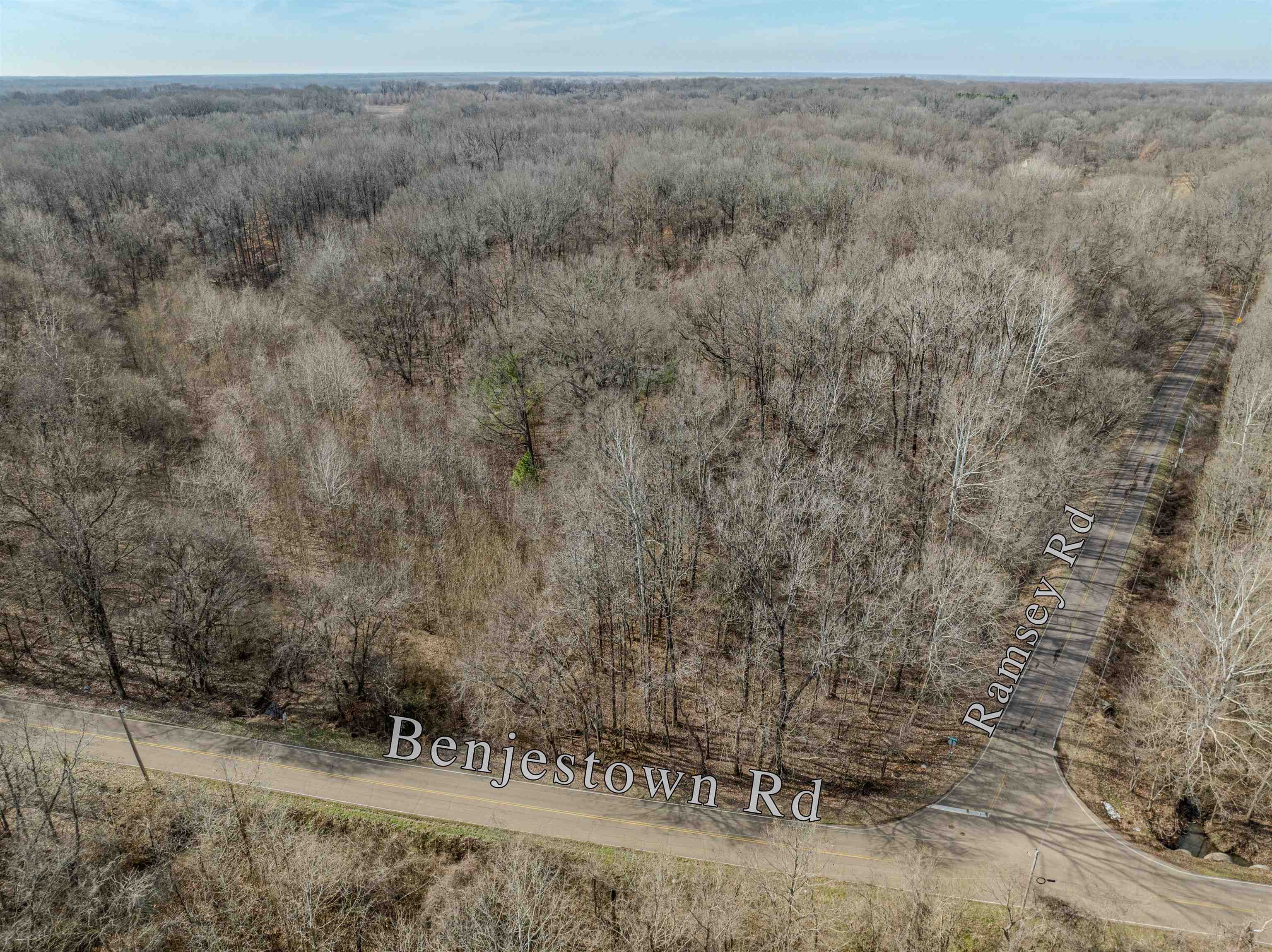 5155 Benjestown Road Memphis, TN 38127 - Photo 23 of 36 a view of a dry yard