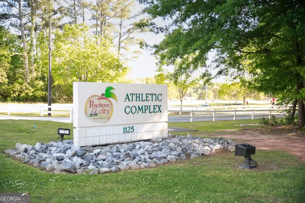 $625,000 | 308 Dalston Way, Peachtree City, GA 30269