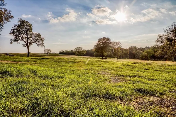 $256,707 | Tbd Tbd Sunny Meadow Drive, Chappell Hill, TX 77426