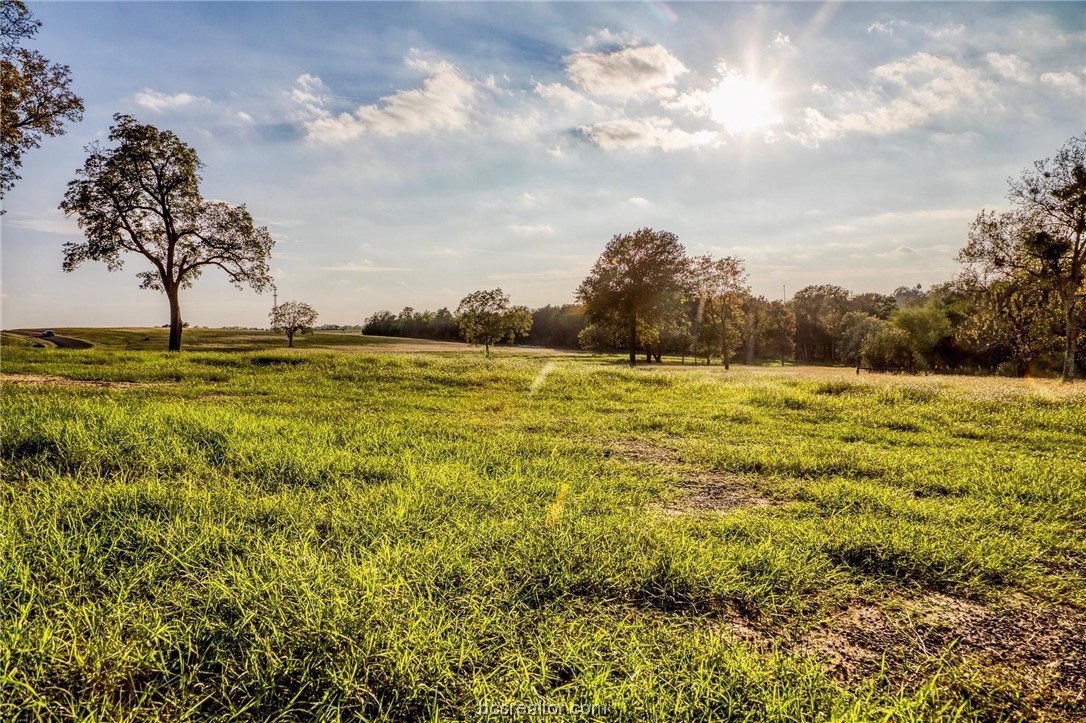 Tbd Tbd Sunny Meadow Drive Chappell Hill, TX 77426 - Photo 28 of 50 Privacy