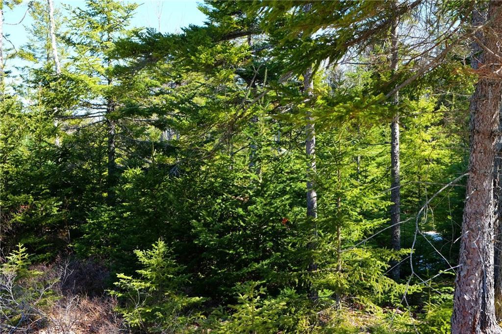 11 Bass Harbor Woods Road Bass Harbor, ME 04653 - Photo 5 of 8 Photo