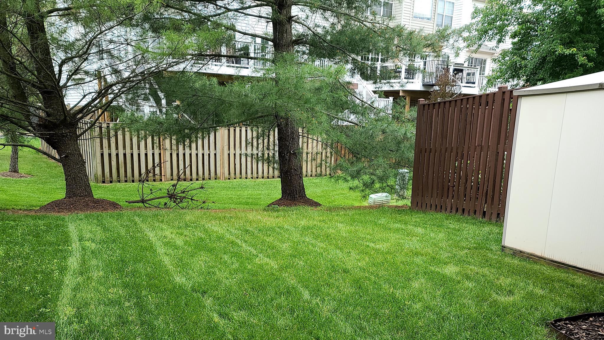 43393 Chokeberry Square Ashburn, VA 20147 - Photo 25 of 31 a view of a house with a small yard and a large tree