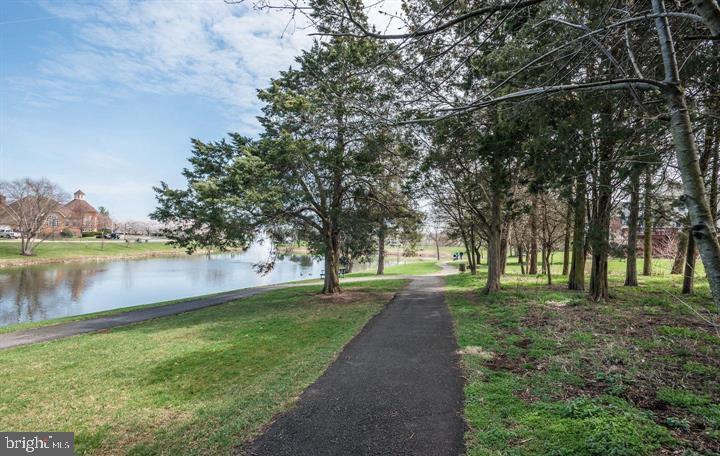 43393 Chokeberry Square Ashburn, VA 20147 - Photo 31 of 31 a view of a park with large trees