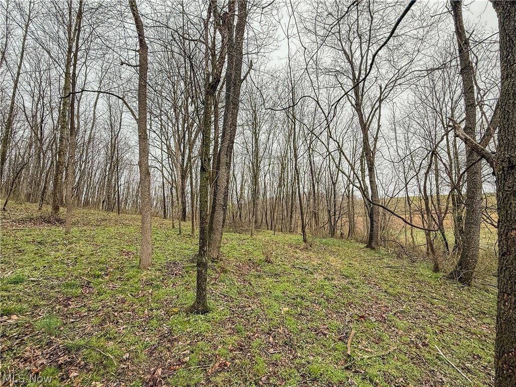 Buck Hill Road Frazeysburg, OH 43822 - Photo 12 of 24