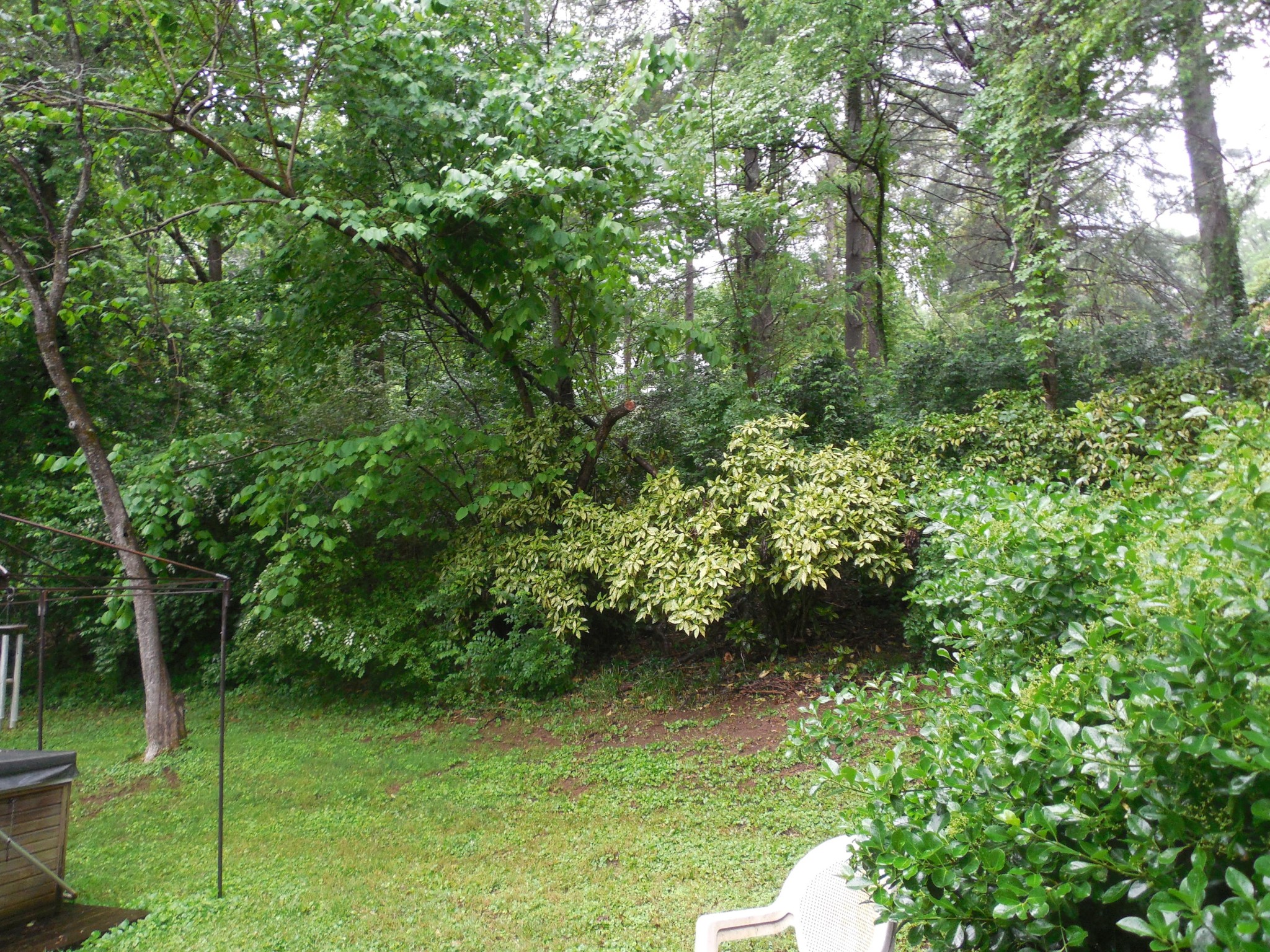 104 Windham Road Oak Ridge, TN 37830 - Photo 14 of 17 a view of a garden