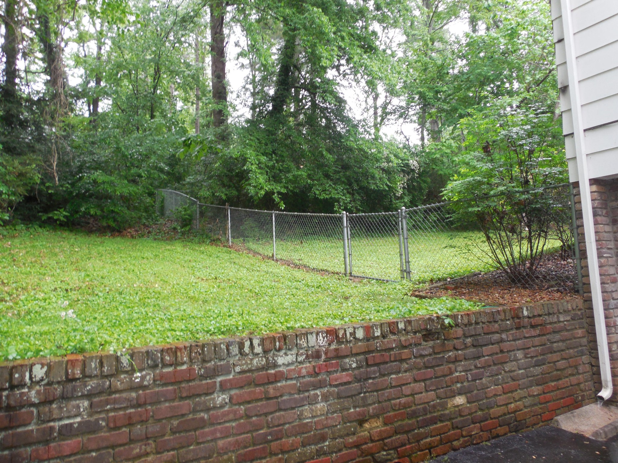 104 Windham Road Oak Ridge, TN 37830 - Photo 15 of 17 a backyard of a house with lots of plants and palm tree