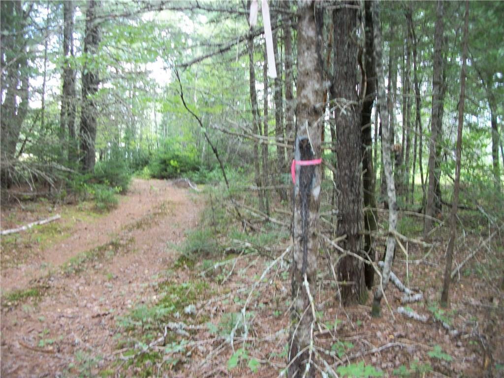 168 Winn Road Lee, ME 04455 - Photo 6 of 13 Driveway,2