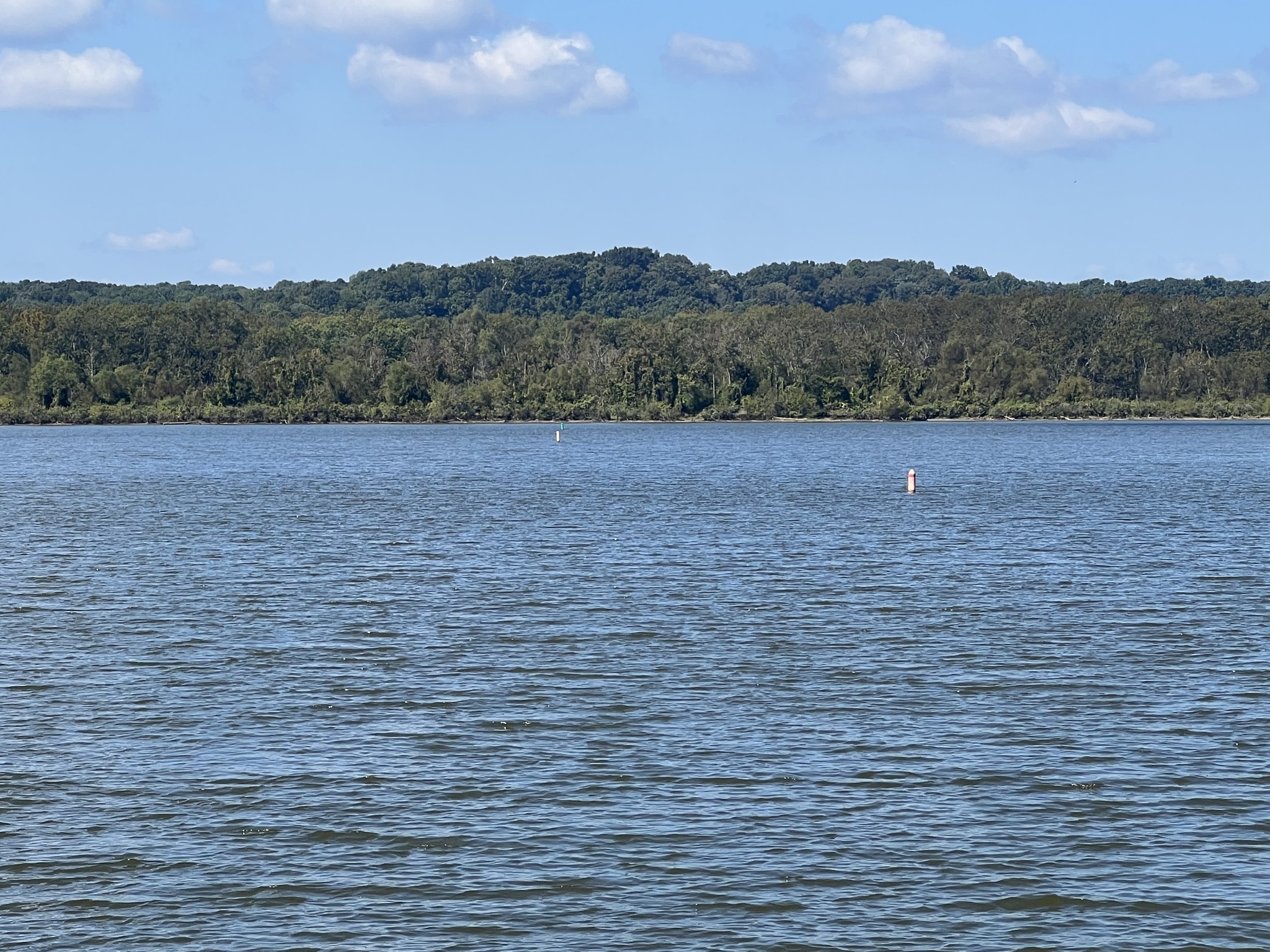 0 Cedar Point Road Bumpus Mills, TN 37028 - Photo 15 of 26 Gallery Image 15