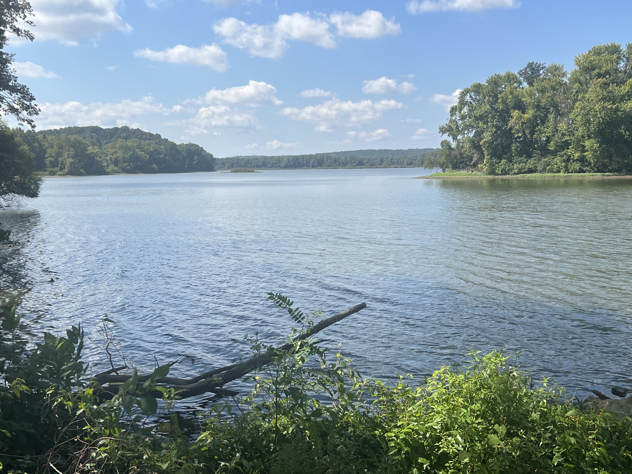 0 Cedar Point Road Bumpus Mills, TN 37028 - Photo 16 of 26 Gallery Image 16