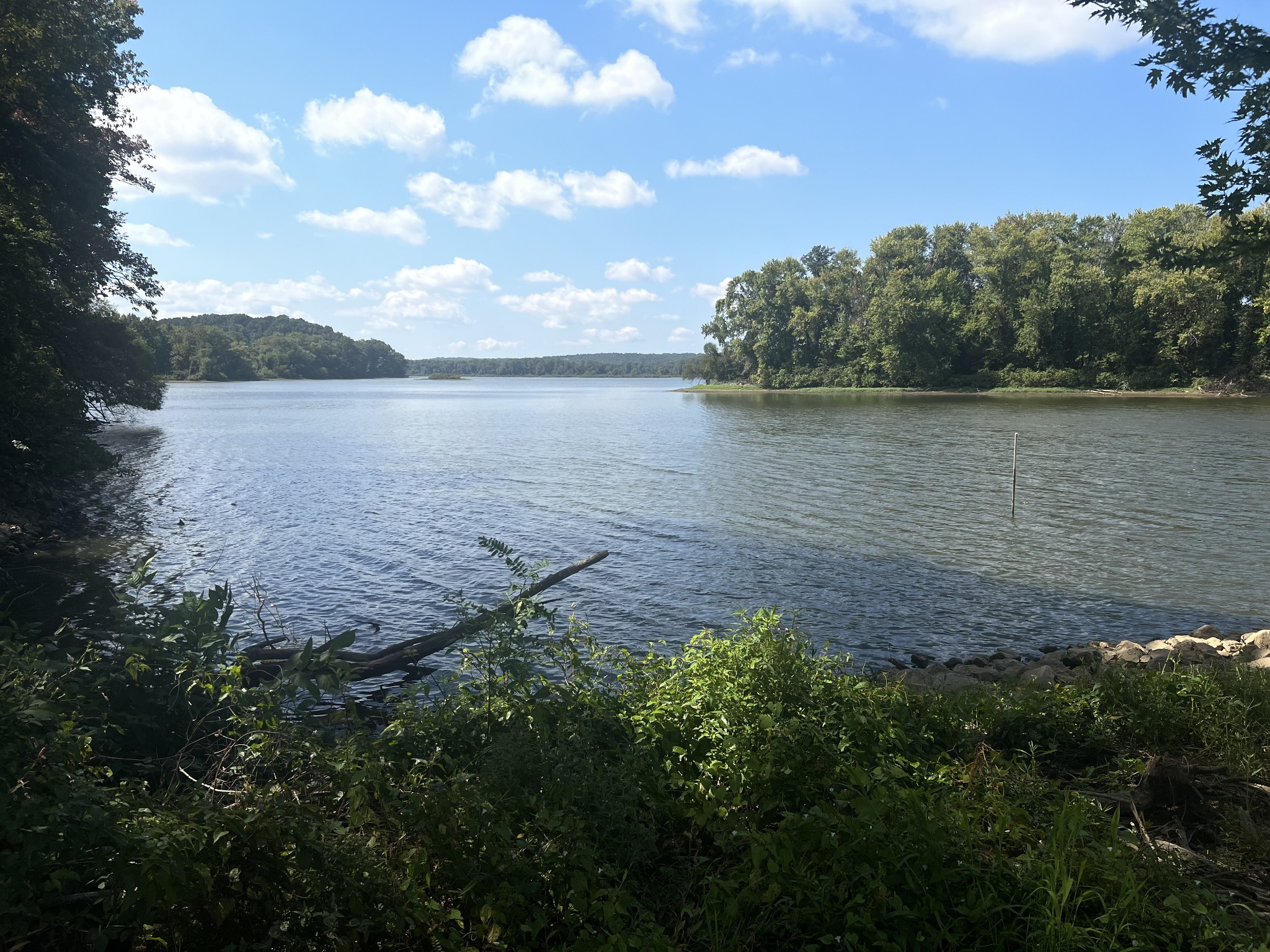 0 Cedar Point Road Bumpus Mills, TN 37028 - Photo 17 of 26 Gallery Image 17