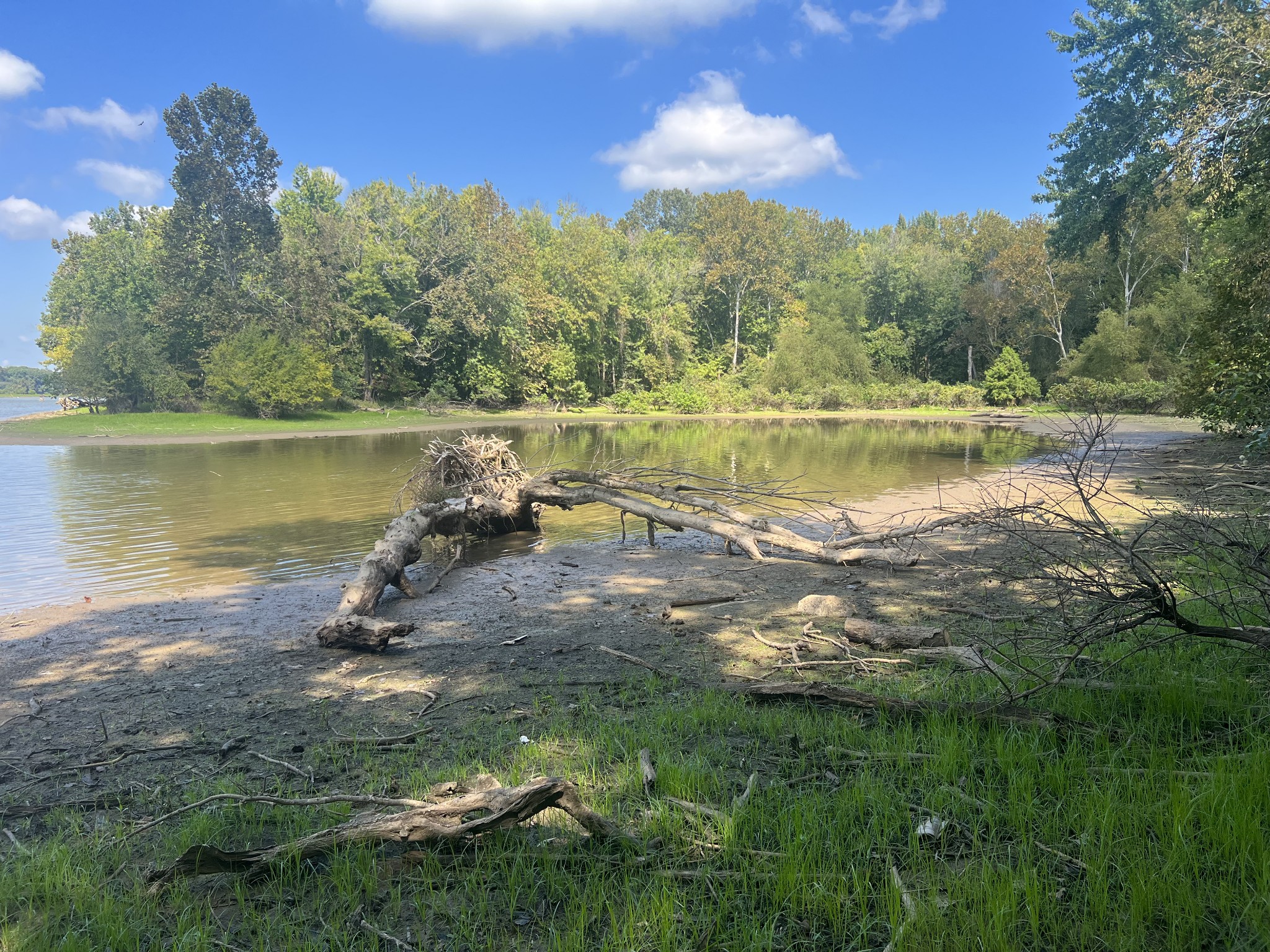 0 Cedar Point Road Bumpus Mills, TN 37028 - Photo 20 of 26 Gallery Image 20