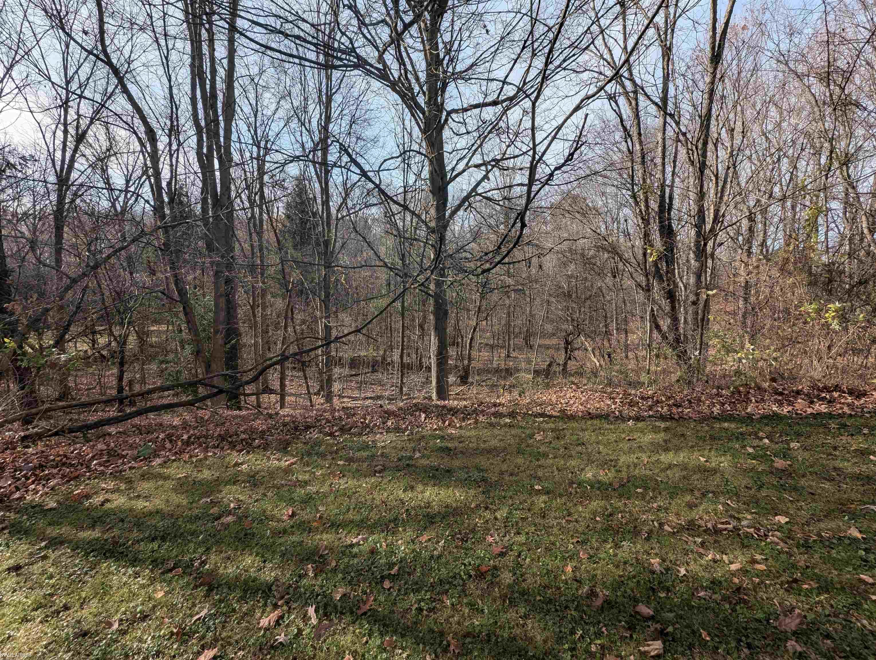 79235 Memphis Ridge Road Richmond, MI 48062 - Photo 14 of 55 50161122-006b8bbf-49a7-4180-88cd-9bed6657a7f1.JPG