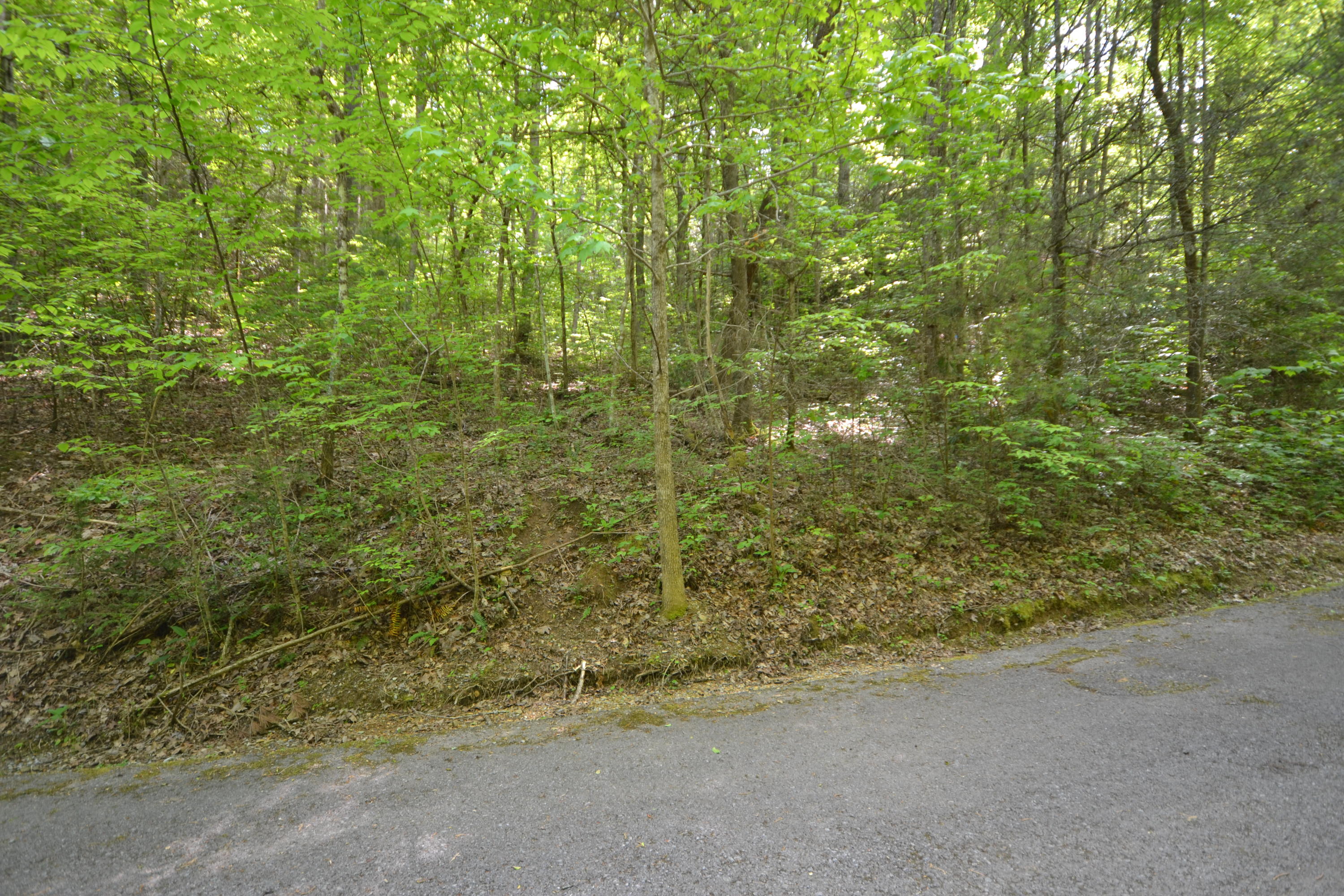 Lot 55 Riversong Way Sevierville, TN 37876 - Photo 2 of 8 Lot 55