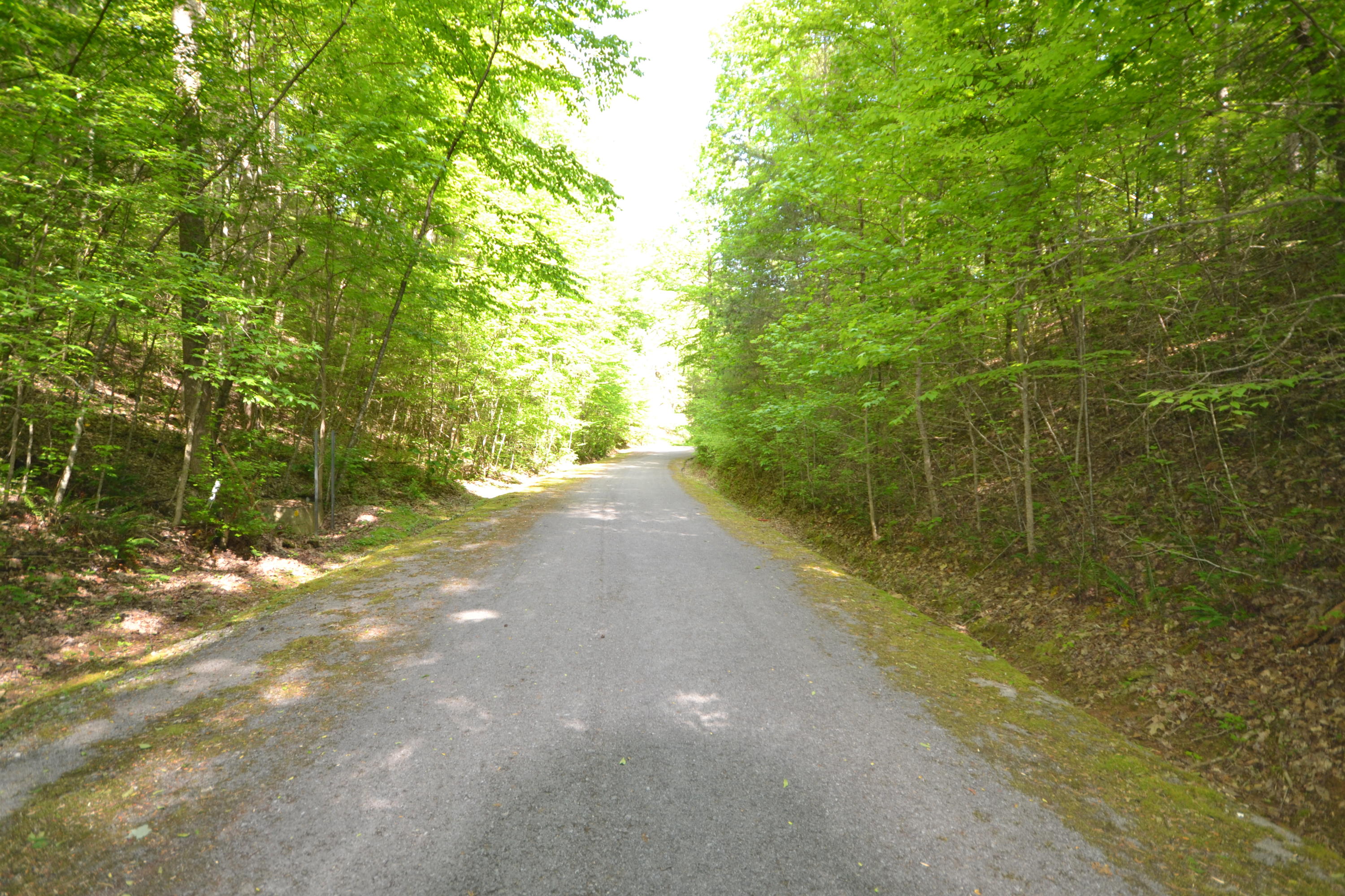 Lot 55 Riversong Way Sevierville, TN 37876 - Photo 3 of 8 Group Lot , 26:27, Lot 55, lot 56