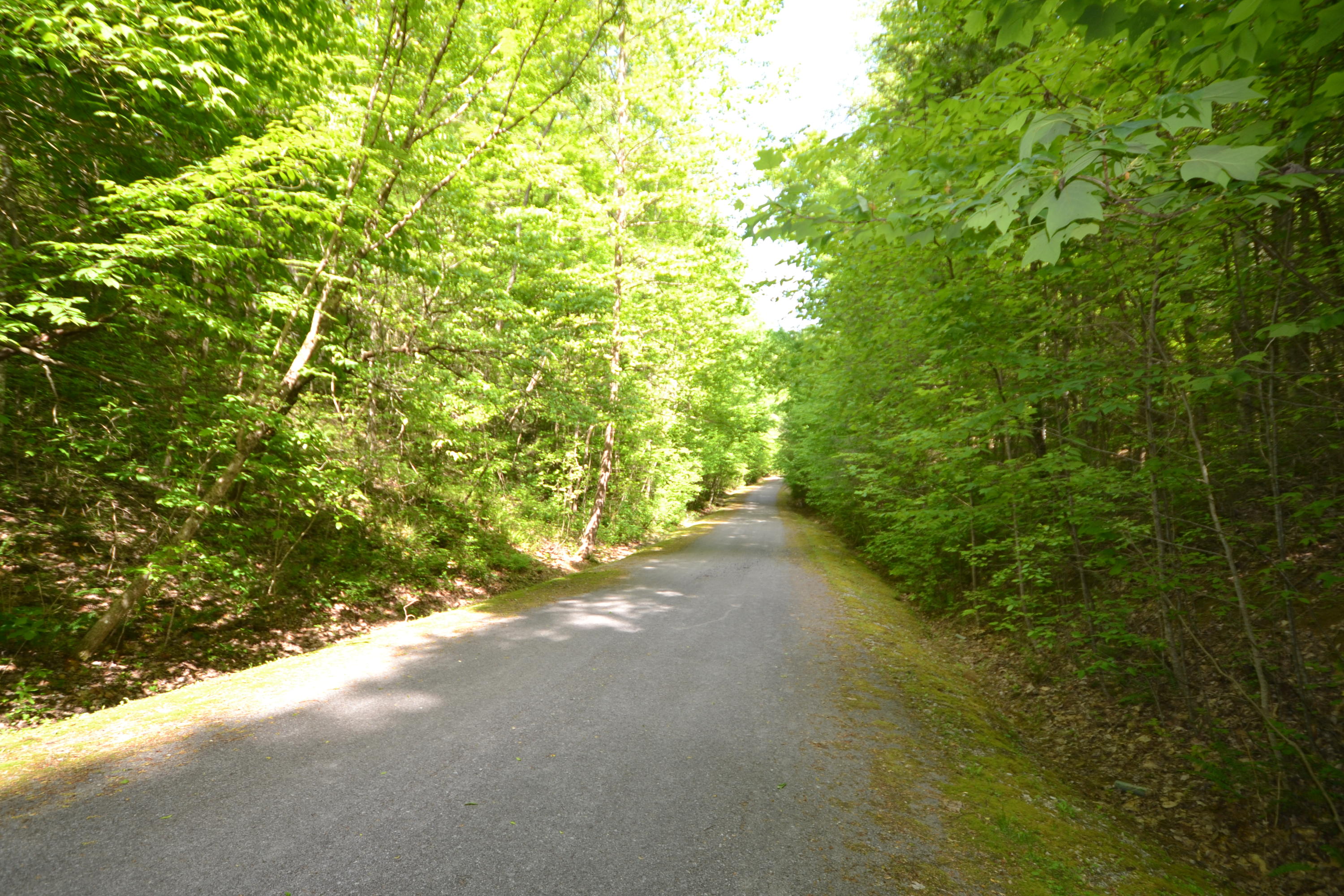Lot 55 Riversong Way Sevierville, TN 37876 - Photo 4 of 8 Group, 26:27, 55