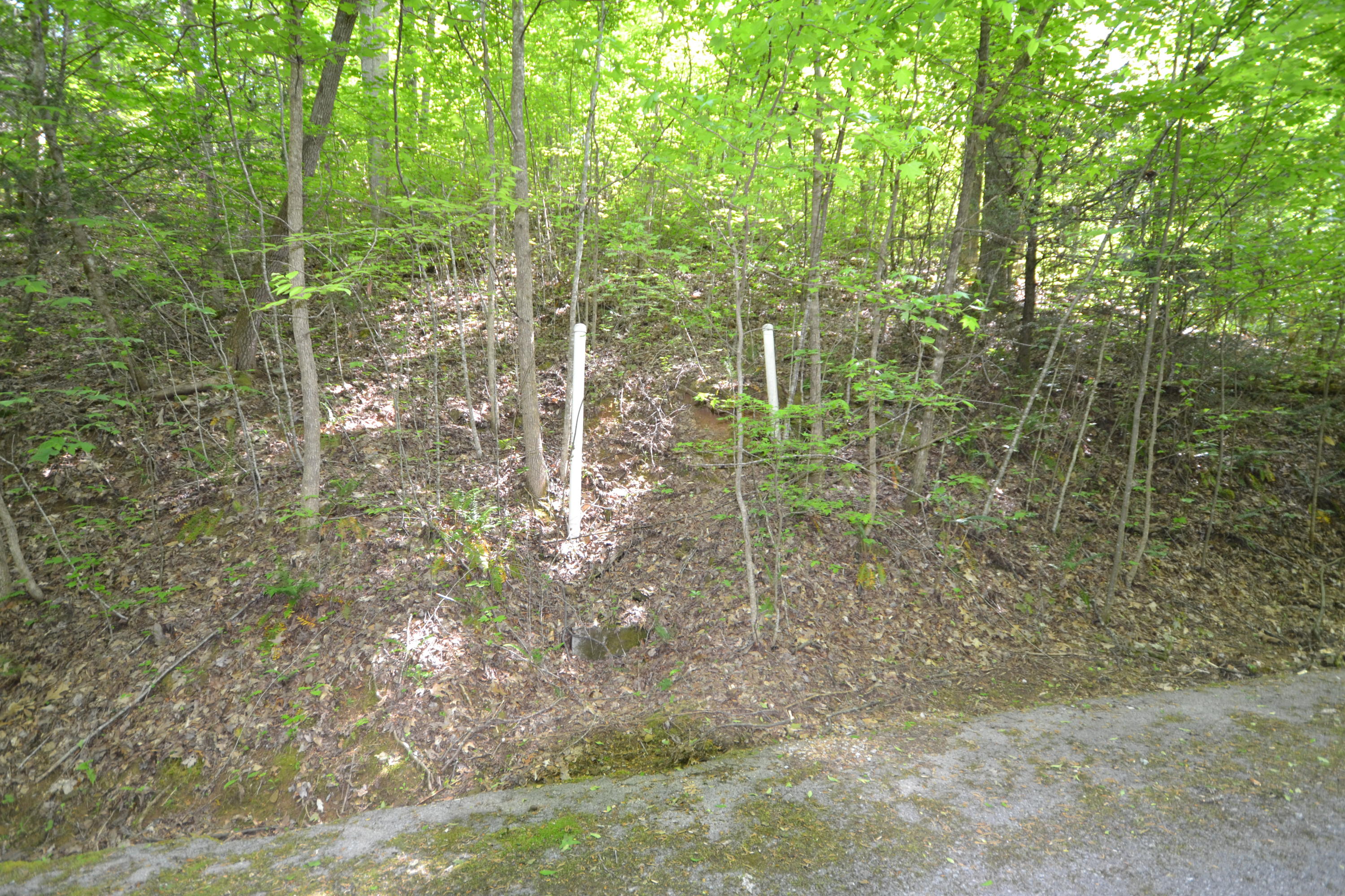 Lot 55 Riversong Way Sevierville, TN 37876 - Photo 5 of 8 Lot 55 & Lot 56