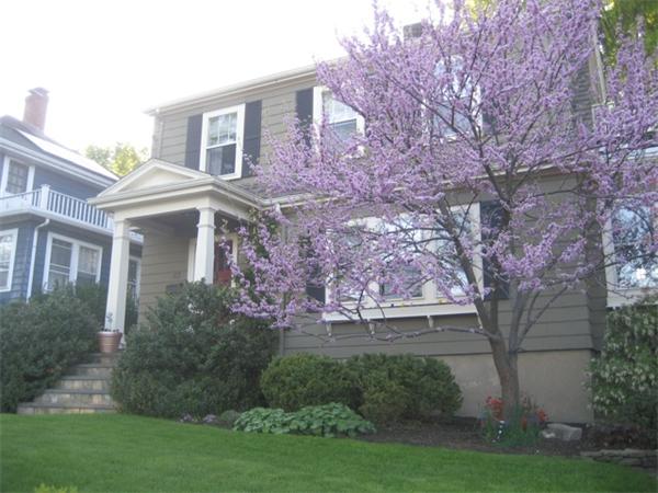 153 Common Street Watertown, MA 02472 - Photo 1 of 9 Gallery Image 1