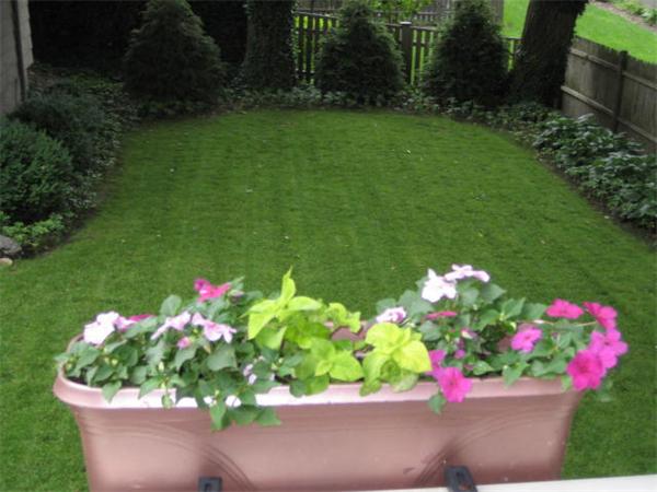 153 Common Street Watertown, MA 02472 - Photo 2 of 9 Gallery Image 2