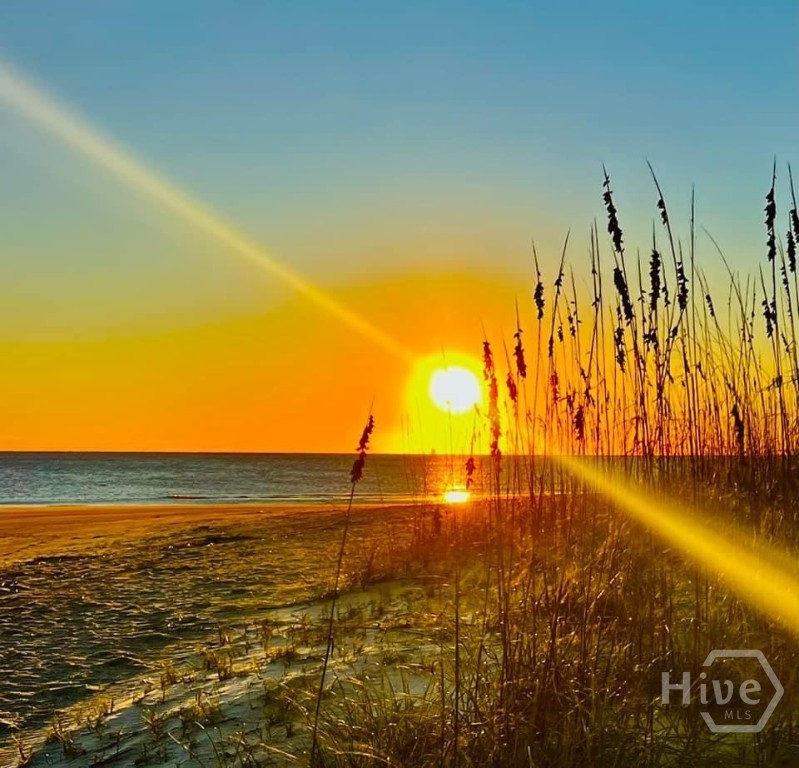 214 Butler Avenue, Unit 105 Tybee Island, GA 31328 - Photo 3 of 25