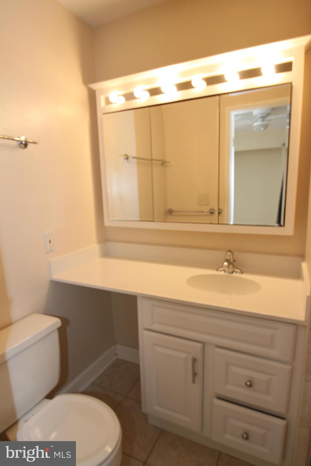 1711 Wainwright Drive Reston, VA 20190 - Photo 11 of 17 Bath (Master)