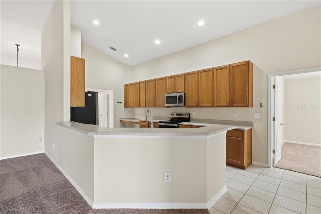 4724 Birchfield Loop Spring Hill, FL 34609 - Photo 16 of 48