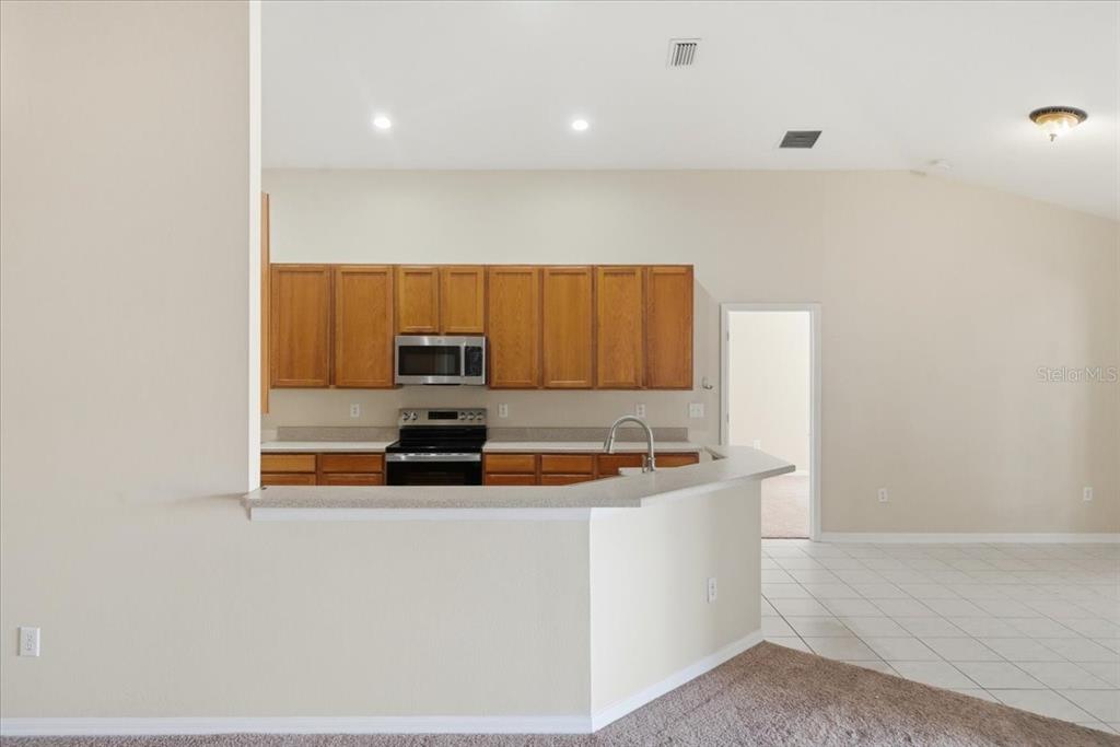 4724 Birchfield Loop Spring Hill, FL 34609 - Photo 17 of 48