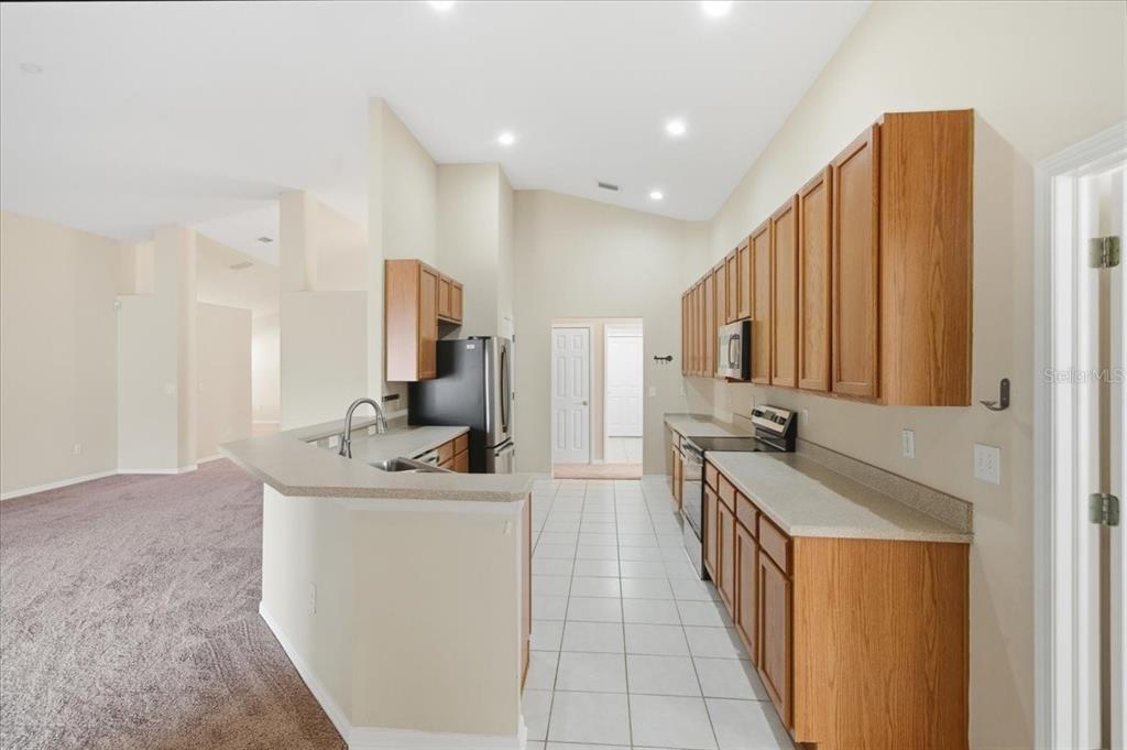 4724 Birchfield Loop Spring Hill, FL 34609 - Photo 18 of 48