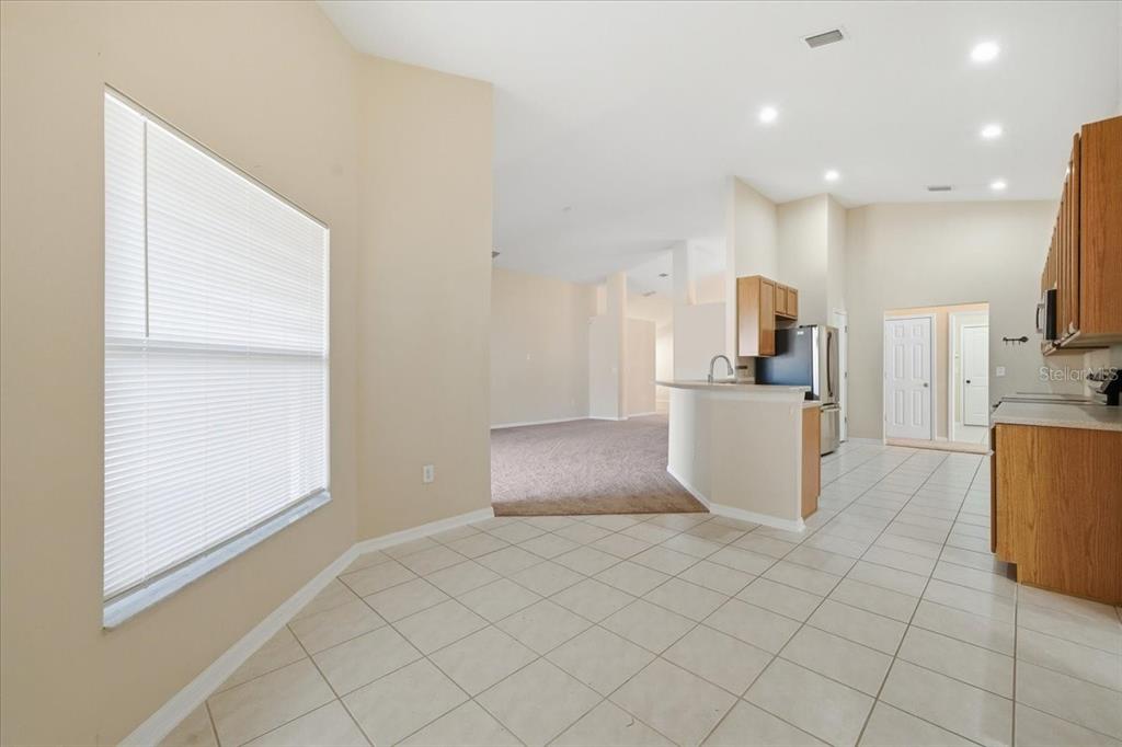 4724 Birchfield Loop Spring Hill, FL 34609 - Photo 26 of 48