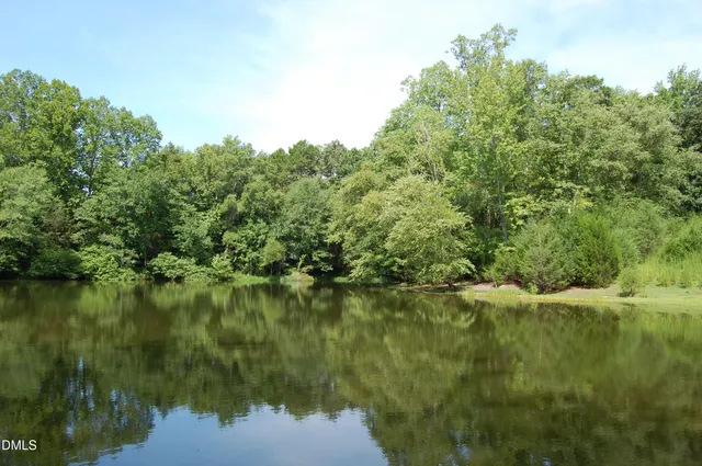 a view of a lake from a yard