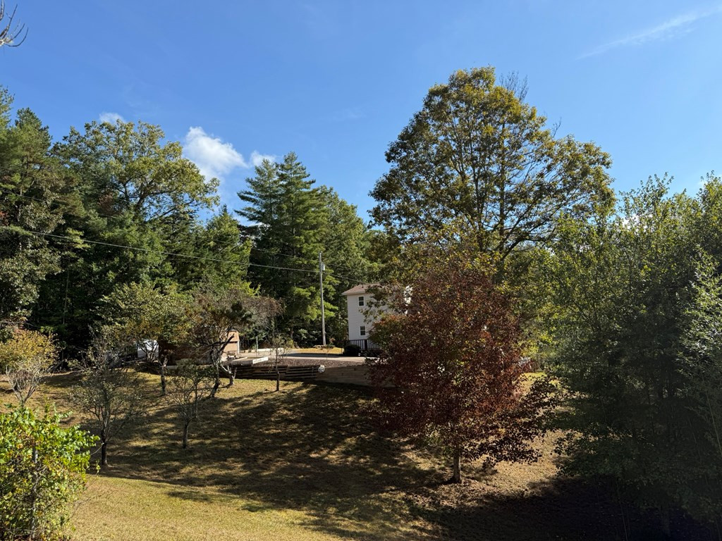 28 Joyce Road Murphy, NC 28906 - Photo 39 of 55 looking from the orchard towards the home