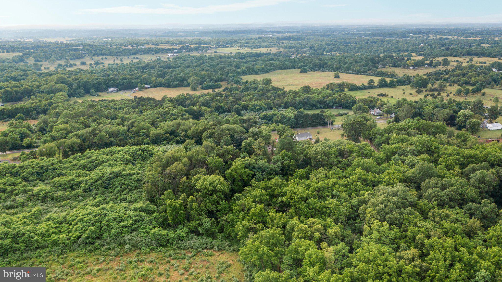 569 Triple J Road Berryville, VA 22611 - Photo 34 of 35 DJI_0034_569 Triple J Rd - Absolute Altitude - 6 -