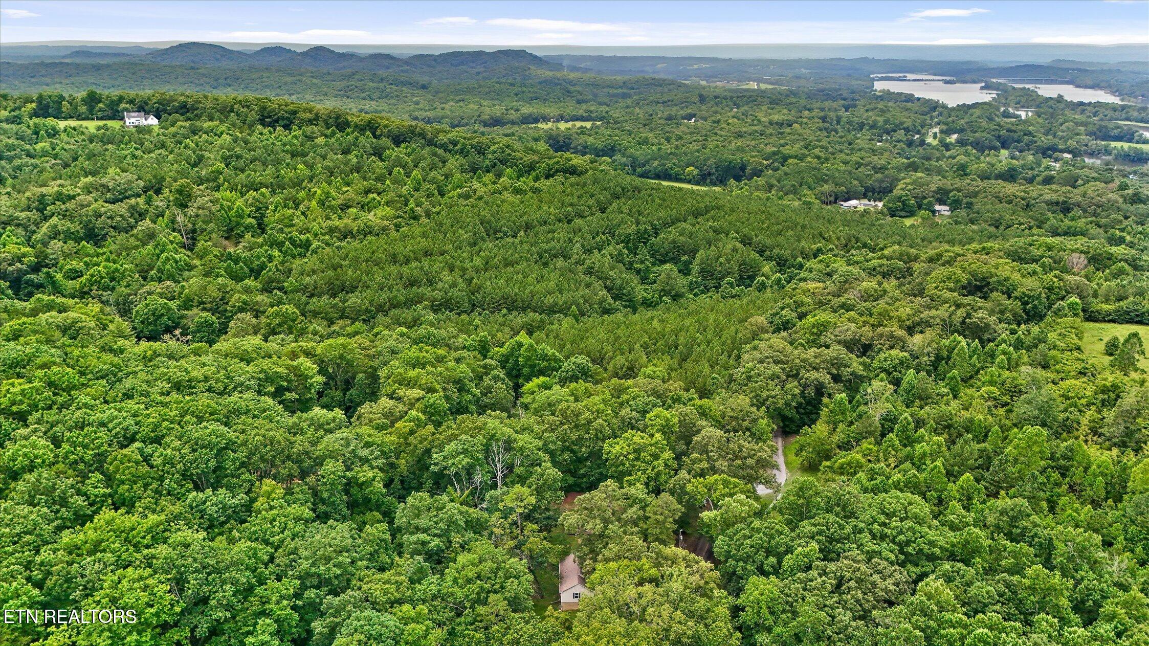 1331 Eads Bluff Road Northwest Georgetown, TN 37336 - Photo 54 of 60 10-Eads Bluff-54
