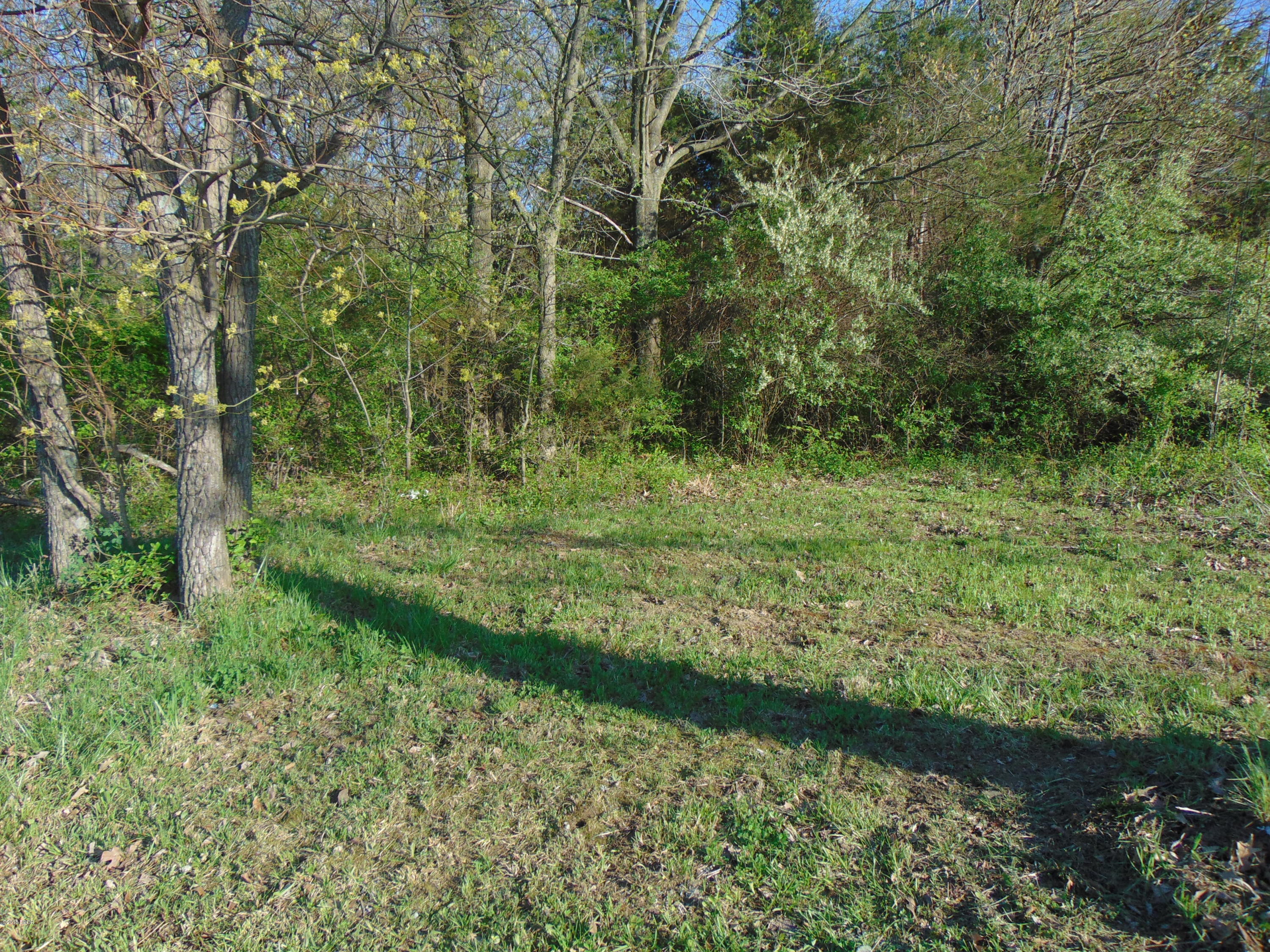 13374 Edwards Road Pittsburg, IL 62974 - Photo 2 of 10