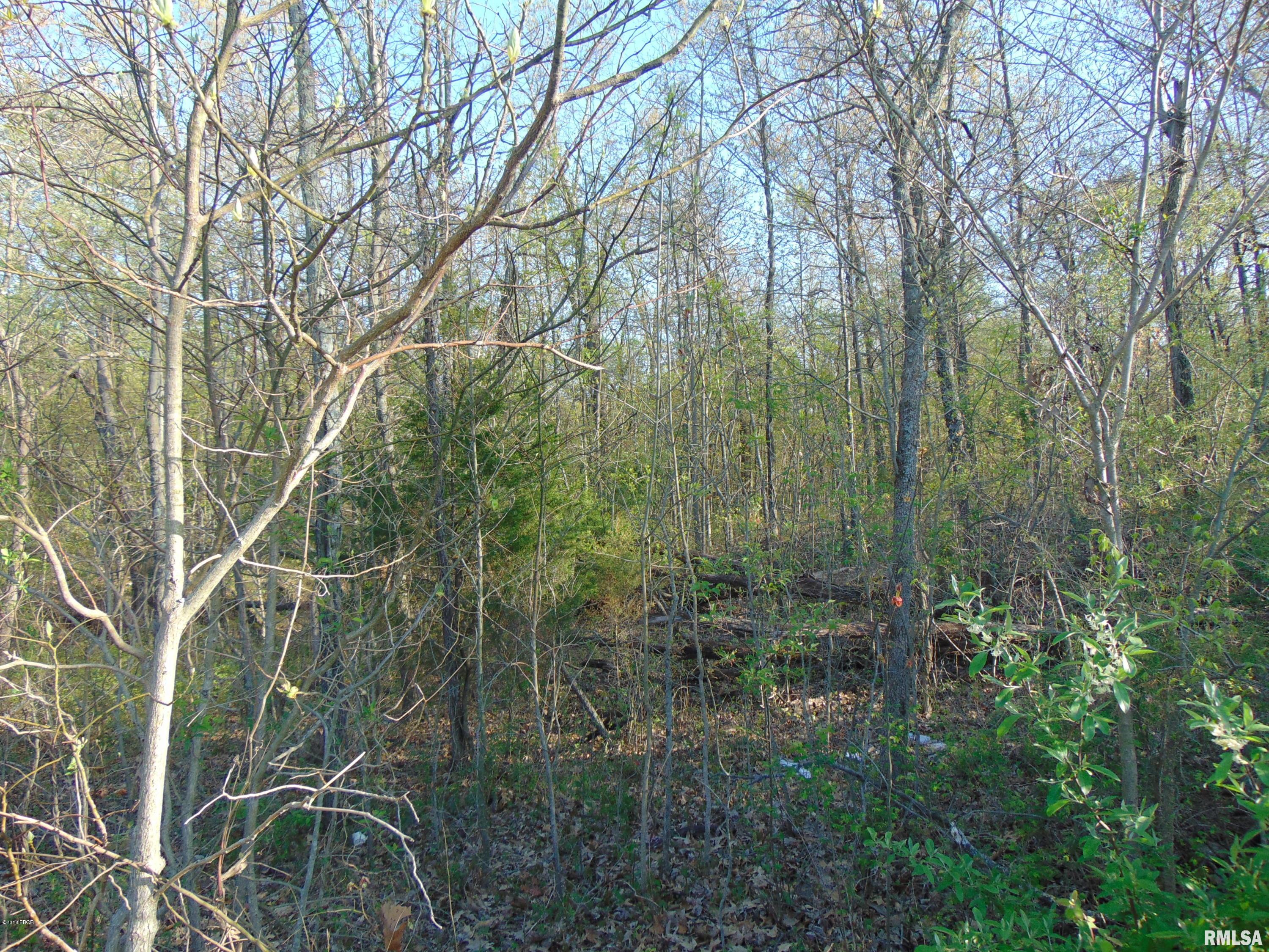 13374 Edwards Road Pittsburg, IL 62974 - Photo 4 of 10