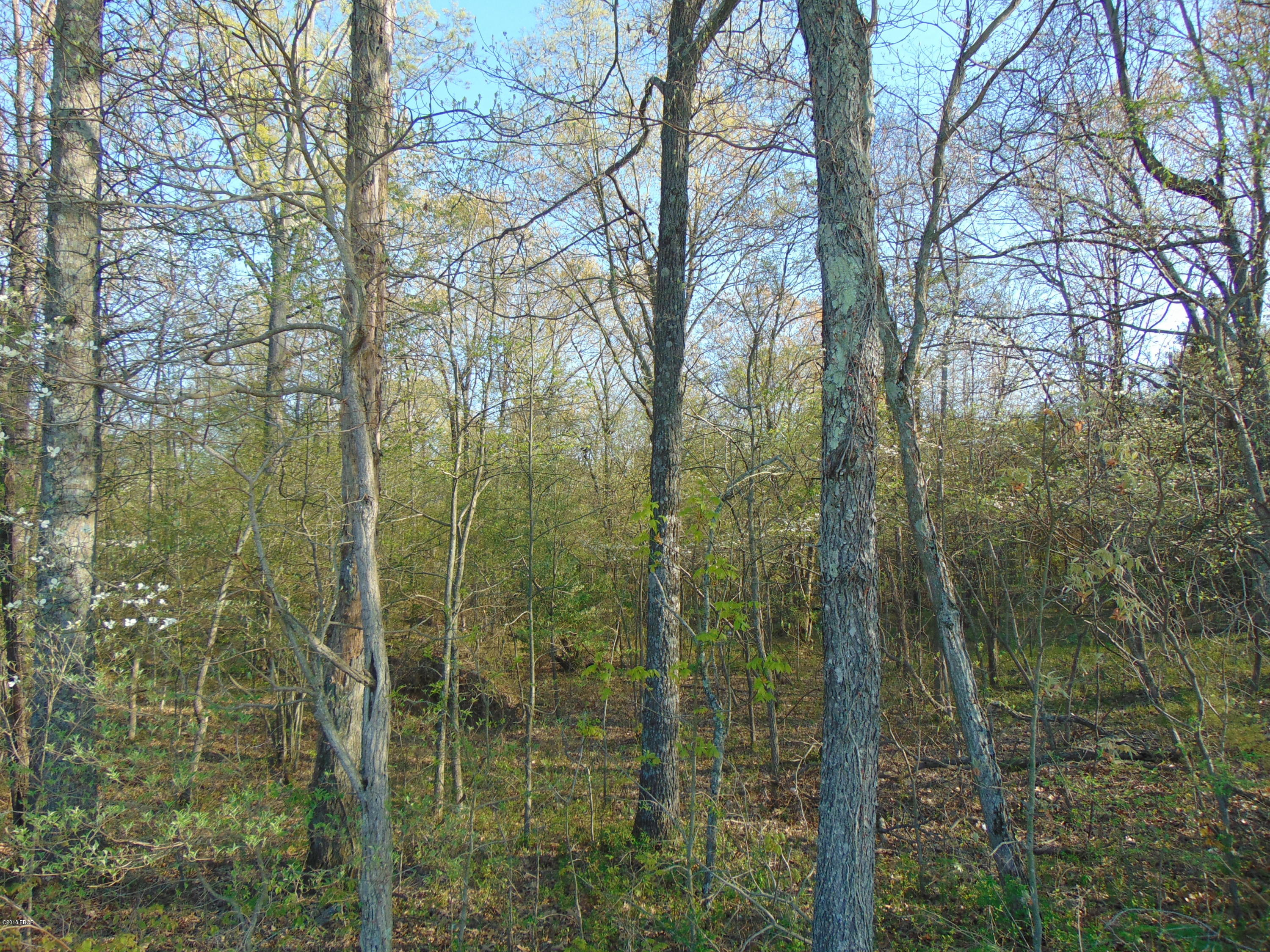 13374 Edwards Road Pittsburg, IL 62974 - Photo 7 of 10