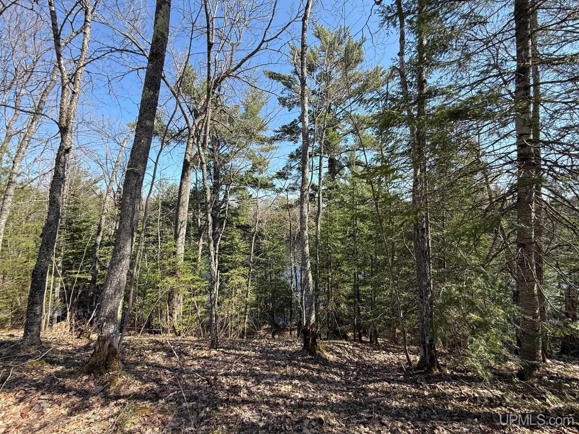 Tbdi Winona Road Toivola, MI 49965 - Photo 8 of 18