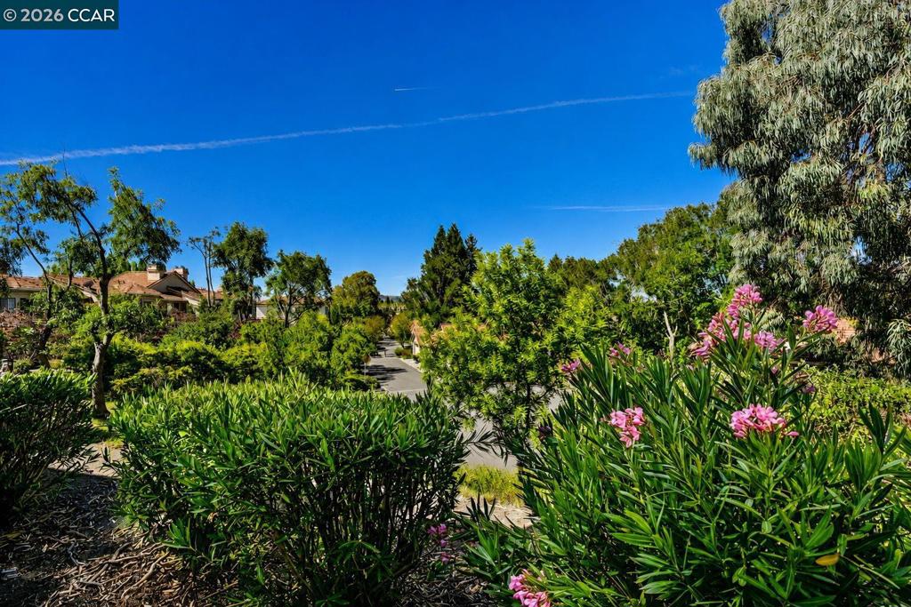 5022 Lakeview Drive San Ramon, CA 94582 - Photo 20 of 30