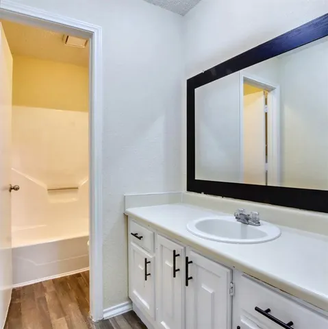a bathroom with a sink a vanity and a mirror