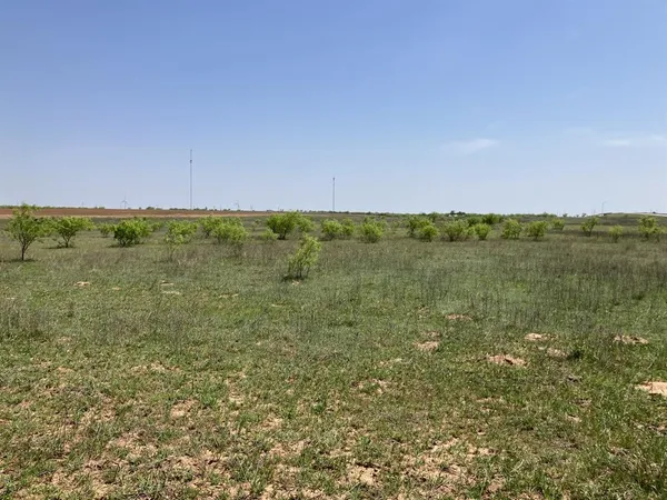a view of an ocean beach