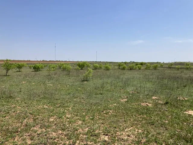 a view of an ocean beach