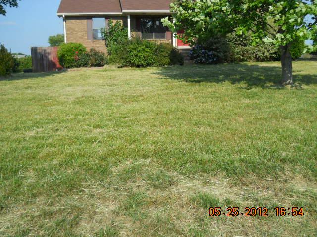 604 Jake Link Road Cottontown, TN 37048 - Photo 2 of 20 a view of a garden with plants and large trees