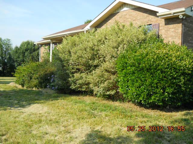 604 Jake Link Road Cottontown, TN 37048 - Photo 4 of 20 a view of outdoor space and garden