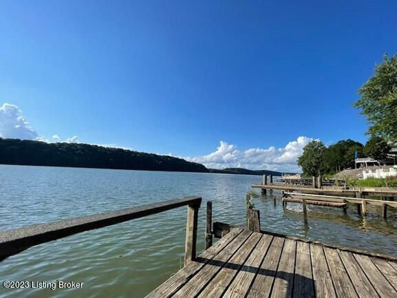 1124 Riverside Drive Prospect, KY 40059 - Photo 25 of 41 dock3